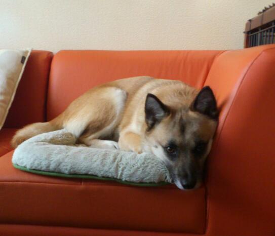 20130330-1.jpg