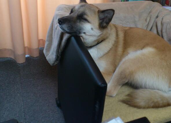 20130403-2.jpg