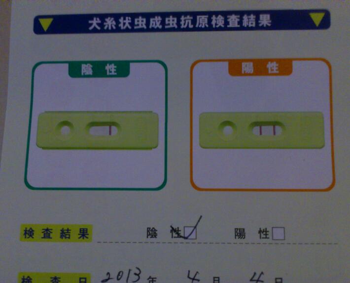 20130404-1.jpg