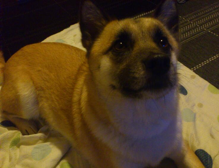20130411-1.jpg