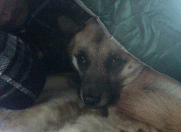 20130511-3.jpg