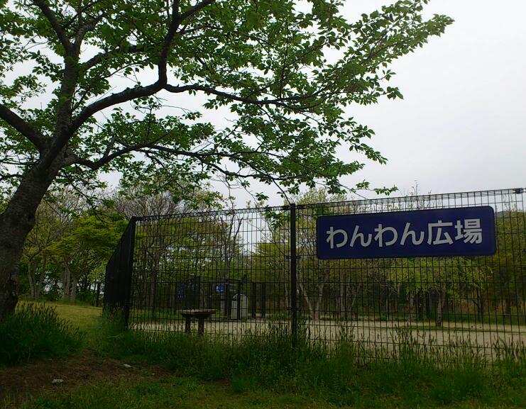 20130511-4.jpg