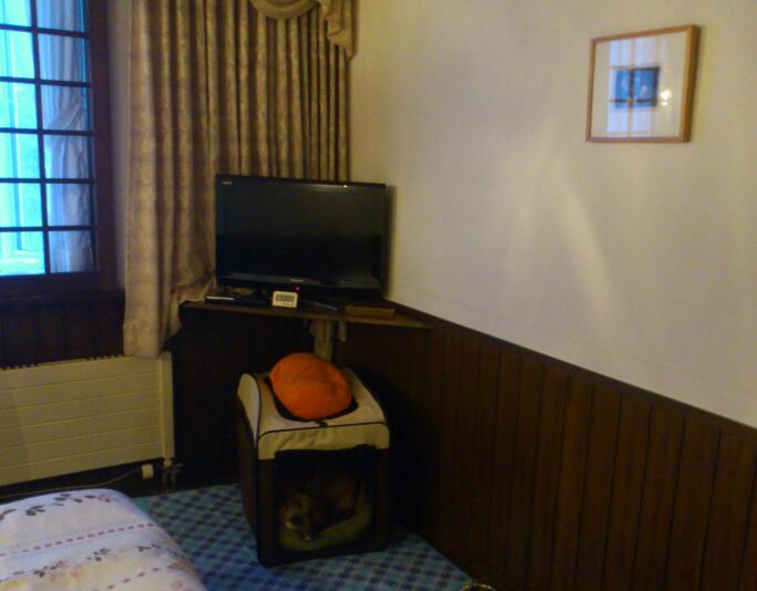 DSC_1954-1.jpg