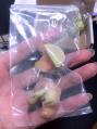 20120619005.jpg