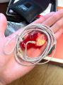 2012090110.jpg