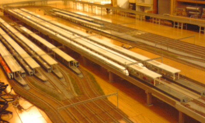 3519.jpg