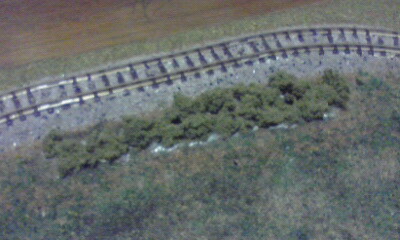 3739.jpg