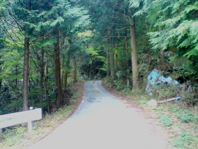 秘境の入口