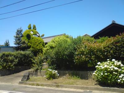トトロ