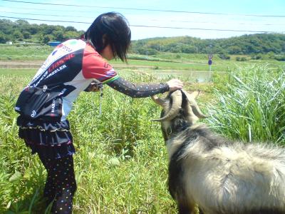 やぎ2