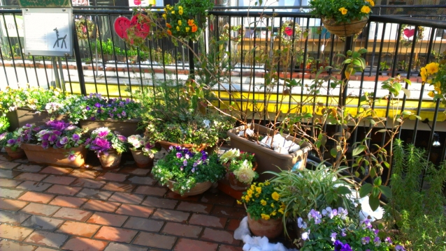 2014-02-09_15-32-44.jpg