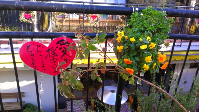 2014-02-09_15-33-48.jpg
