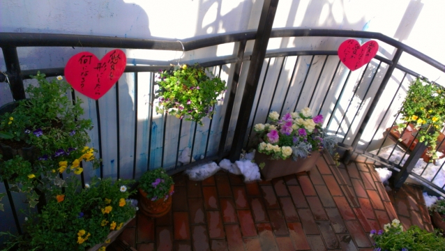 2014-02-09_15-34-29_20140210130242011.jpg