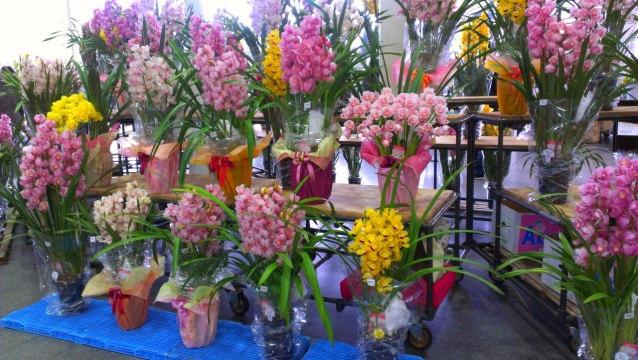 2014-02-14_13-55-33.jpg
