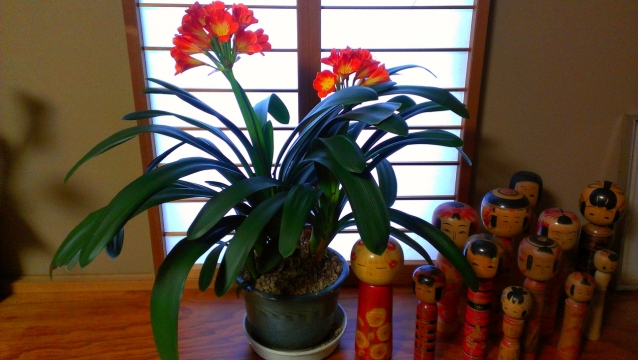 2014-02-17_16-40-39.jpg