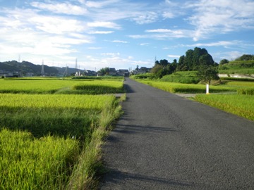 IMGP4308.jpg