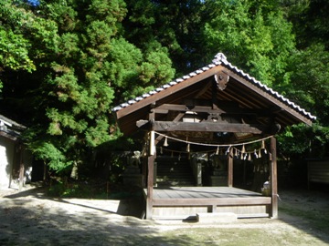 IMGP4311.jpg