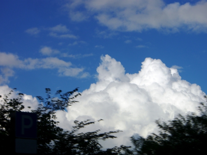 CIMG8574.jpg