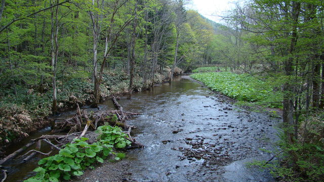 13859082_1658083869_240large.jpg