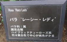 20120601智光山緑化植物園 レーシー・レディ・プレート