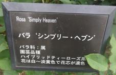 20120601智光山緑化植物園 シンプリー・ヘブン ・プレート