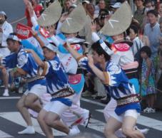 20120805阿波踊り葵27