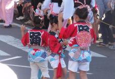 20120805阿波踊り016