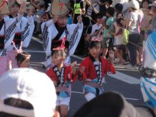 20120805阿波踊り012