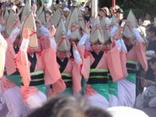 20120805阿波踊り0513