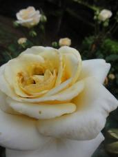 DSC01757.jpg