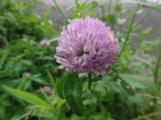 DSC01869.jpg