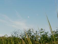 DSC02277.jpg