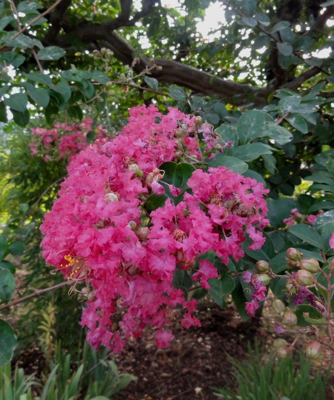 DSC02303.jpg