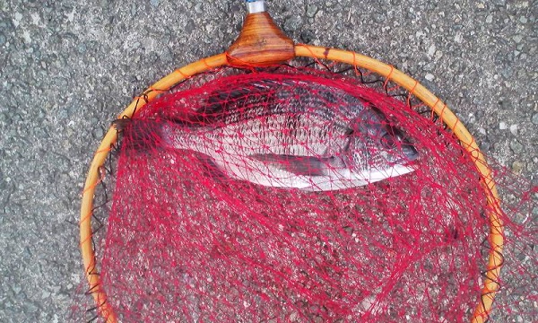 001_20120622210639.jpg