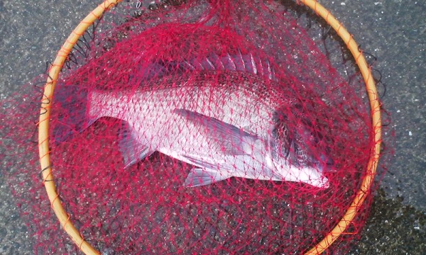 001_20120707135422.jpg