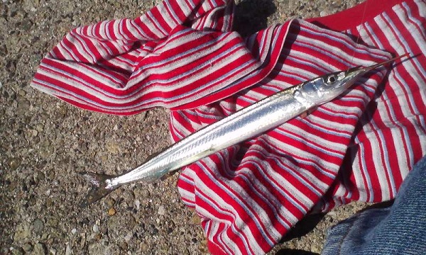 001_20121005182654.jpg