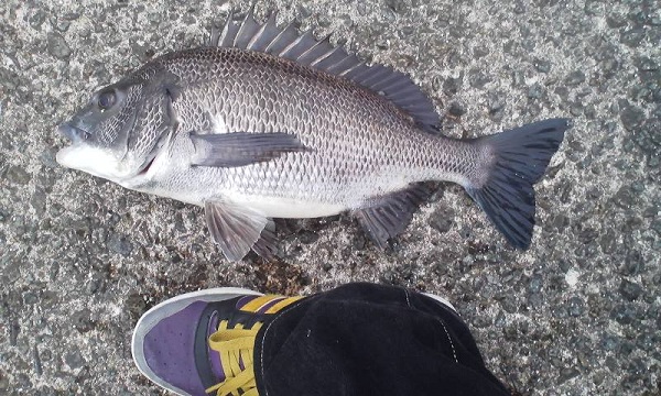 003_20120613200942.jpg