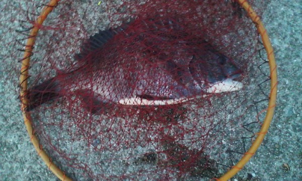 004_20120606214031.jpg