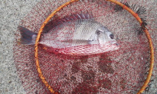 004_20120608182916.jpg