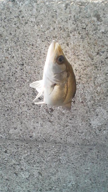 004_20121015155254.jpg