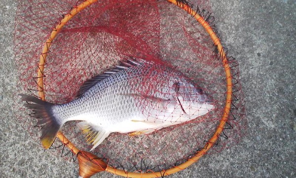005_20120526185425.jpg