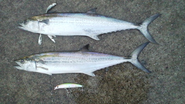 005_20121017210848.jpg