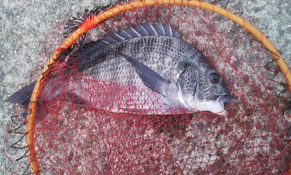 008_20120604211000.jpg