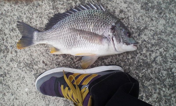 008_20120608183332.jpg