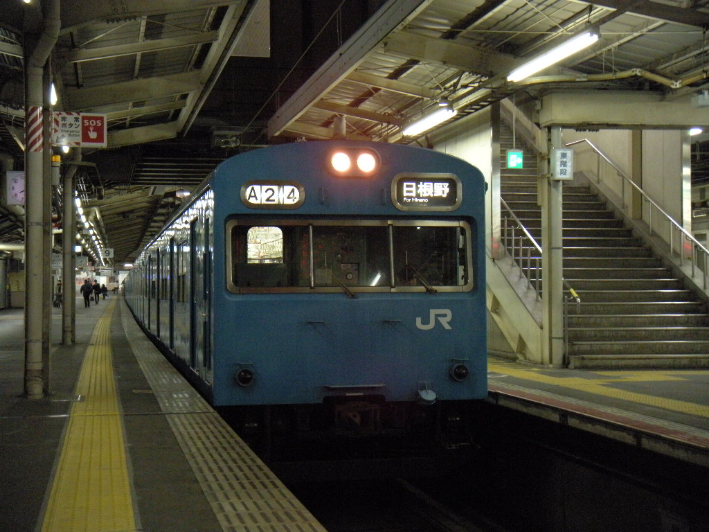 DSCN2993.jpg
