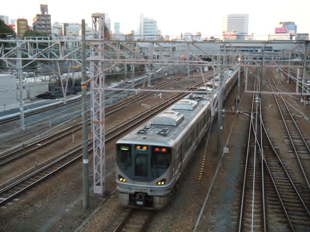 DSCN3133.jpg