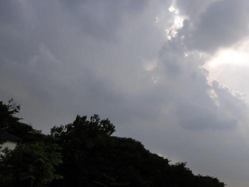 DSC04289-.jpg