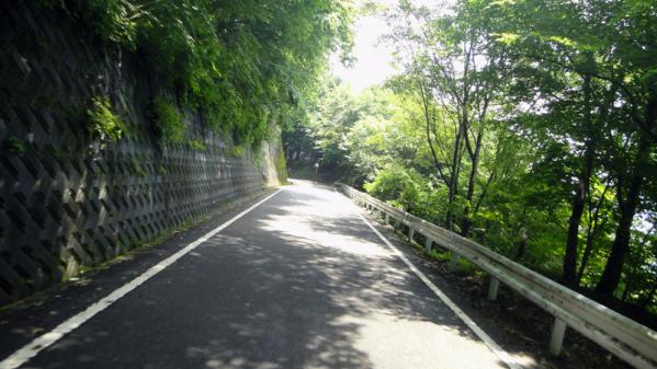 DSC04517-.jpg