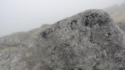 DSC04593-.jpg