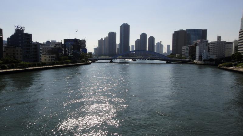 DSC04985-.jpg